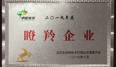 热烈祝贺天宸物探成功入选2019年度“瞪羚企业”名单