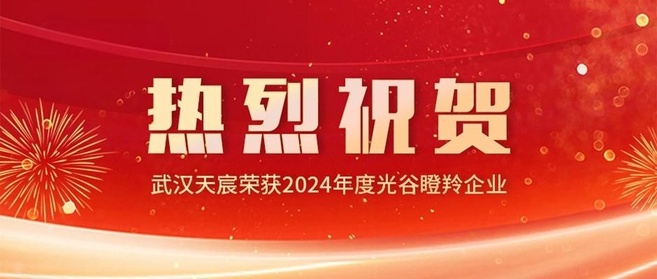喜讯|武汉天宸蝉联2024光谷瞪羚企业殊荣
